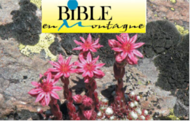 Bible en montagne 2025 du 6 au 11 juillet 2025 à Vars (Htes Alpes)