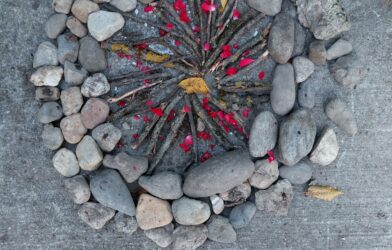 Retour sur la journée chantier du 15 novembre 2025